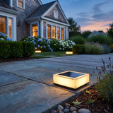 Flat Out Light low square solar light glowing among garden planting at dusk