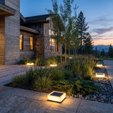 Flat Out Lights set among garden planting at dusk