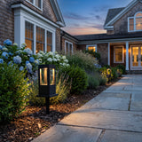 Nimbus Light glowing among garden planting at dusk