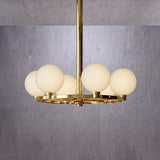 Polished Gold