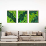 Rivers & Islands Moss Art