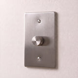 Stainless Steel::1 Gang
