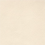 Sofa Sample Swatch