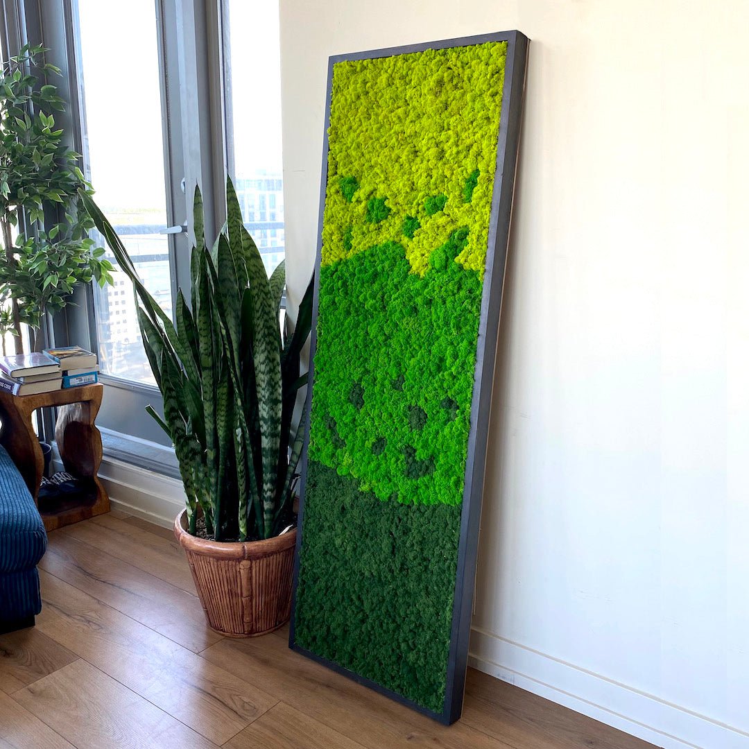  Real Preserved Moss Wall Art with Natural Wood.No