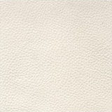 Fabric Sample Swatch