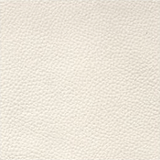 Fabric Sample Swatch