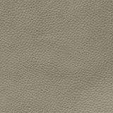 Sofa Sample Swatch