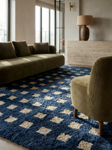 Grid Contemporary Checkered Rug