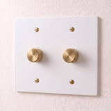 White with Brass::2 Gang