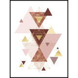 Tetra Blush Stretched Canvas