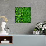 Half Moss Art Square Frame