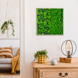 Half Moss Art Square Frame