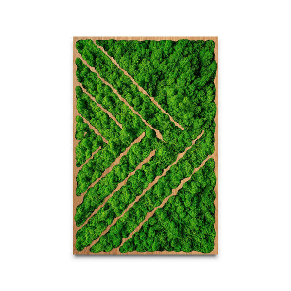 Moss Art Line Series