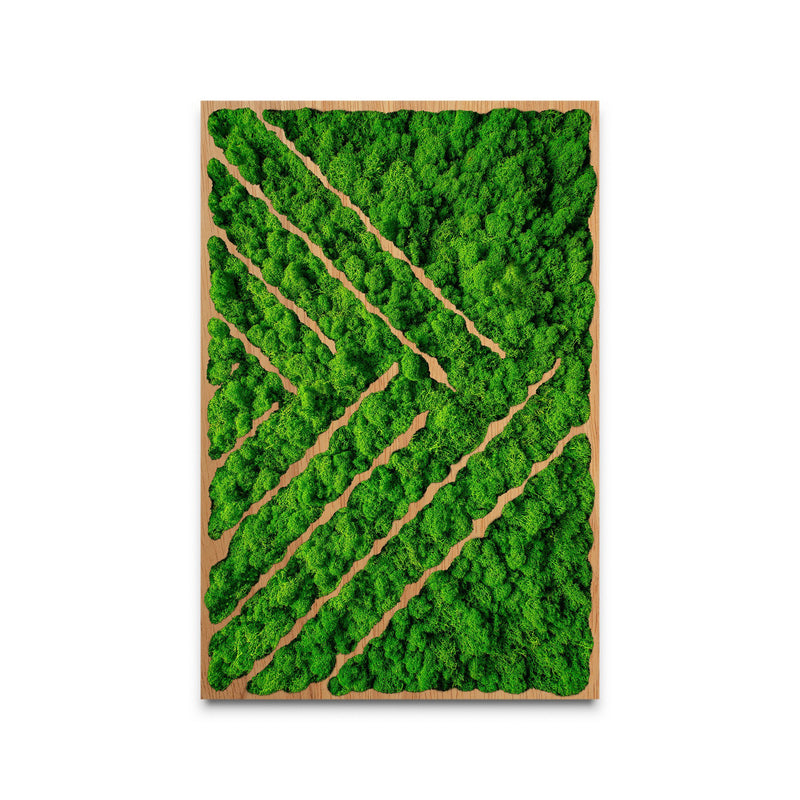 Moss Art Line Series