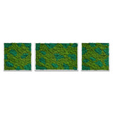 Moss Art Trio Multi Panel