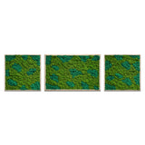 Moss Art Trio Multi Panel