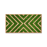 Moss Art X Design Wood Frame