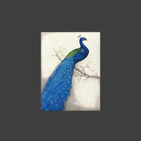 Pavo Peacock Stretched Canvas