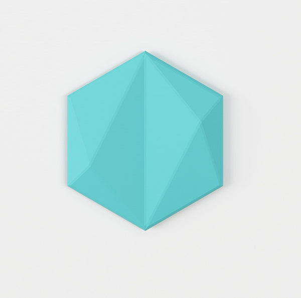 Euclid Hexagon 3D Wall Panel