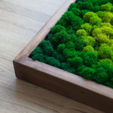 Half Moss Art Square Frame