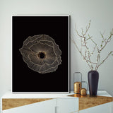 Dark Crater Stretched Canvas
