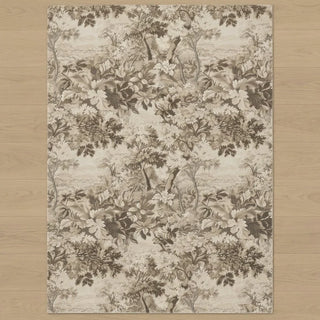 Transitional Rugs