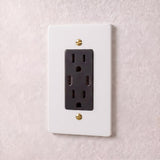 White with Brass::1 Gang::USB-C