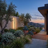 Outdoor Sleek Wall Light mounted on a garden wall above planting at dusk