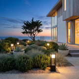 Nimbus Cube Solar Light set among garden planting at dusk