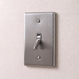 Stainless Steel::1 Gang