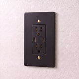 Night Black with Brass::1 Gang::USB-C