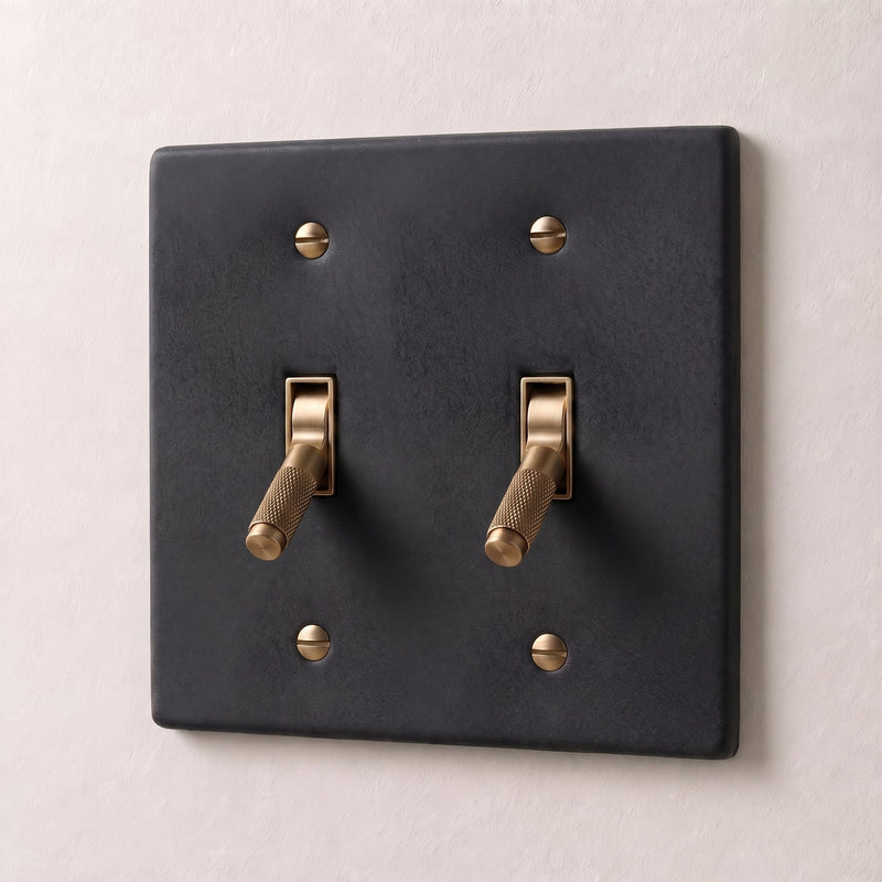 Brass Toggle Switch — 2 Gang · Night Black with Brass