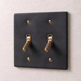 Night Black with Brass::2 Gang