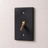 Night Black with Brass::1 Gang