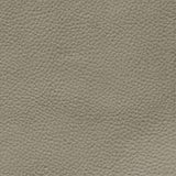 Fabric Sample Swatch