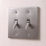 Stainless Steel::2 Gang