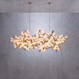 Marinae Chandelier