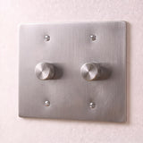 Stainless Steel::2 Gang