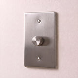 Stainless Steel::1 Gang