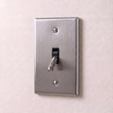 Stainless Steel::1 Gang