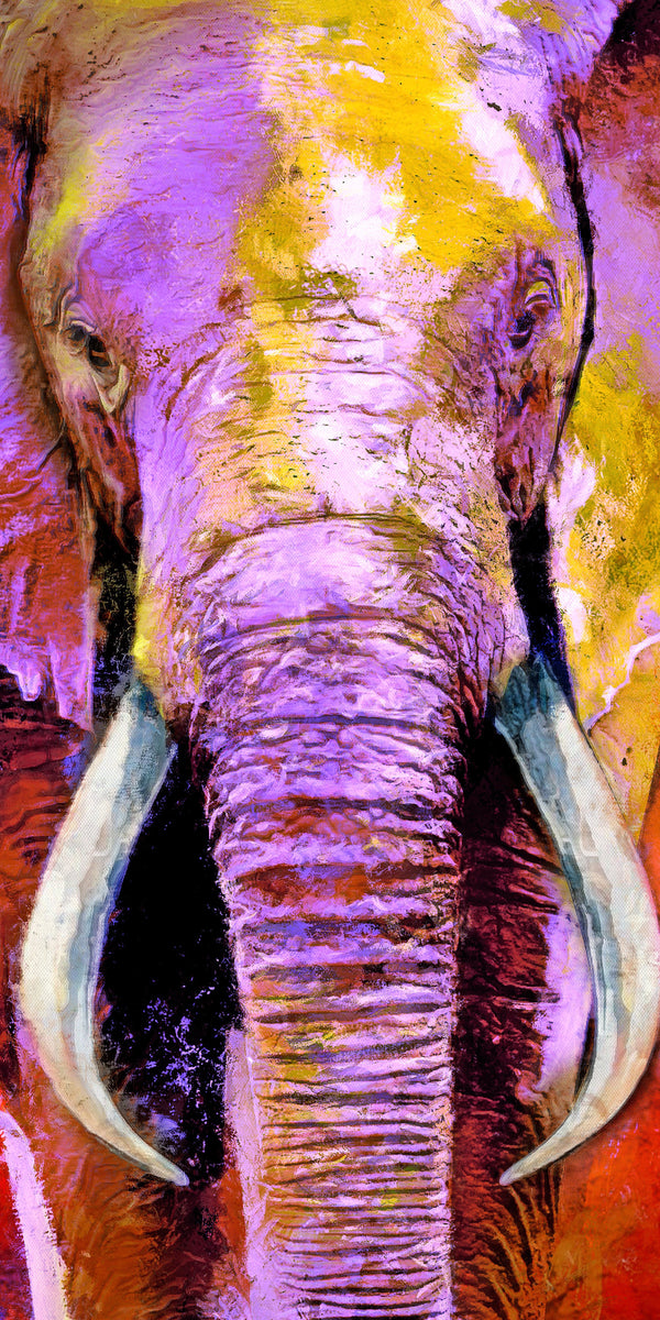 Elephant Trunk Abstract Art Stretched Canvas
