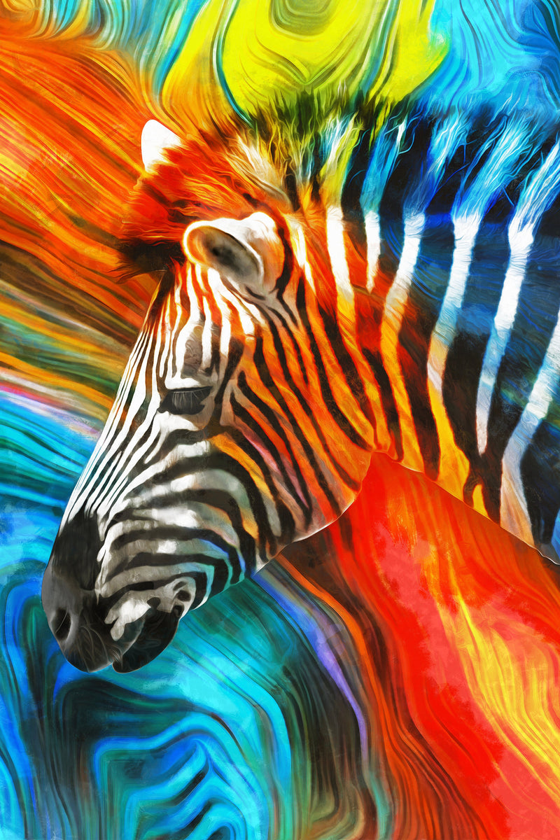 Multi Coloured Zebra Abstract Art Stretched Canvas