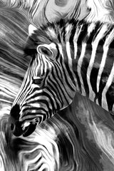 Black and White Zebra Abstract Art Stretched Canvas