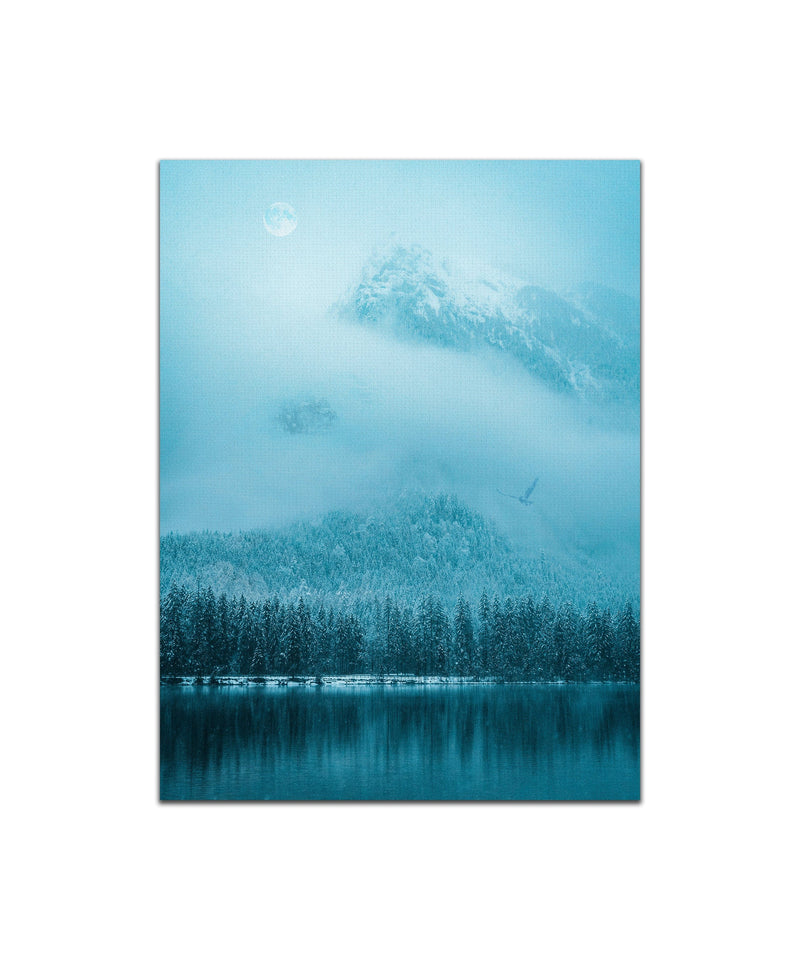 Reflection of Trees Stretched Canvas