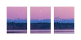 Purple View Mountain Stretched Canvas