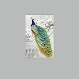 Afropavo Peacock Flower Animal Stretched Canvas