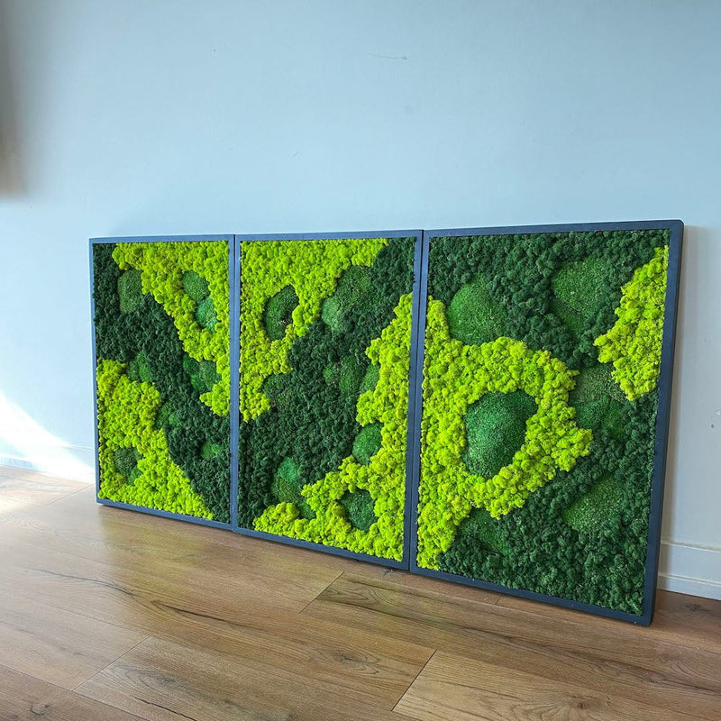 Rivers & Islands Moss Art – Articture