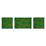 Moss Art Trio Multi Panel