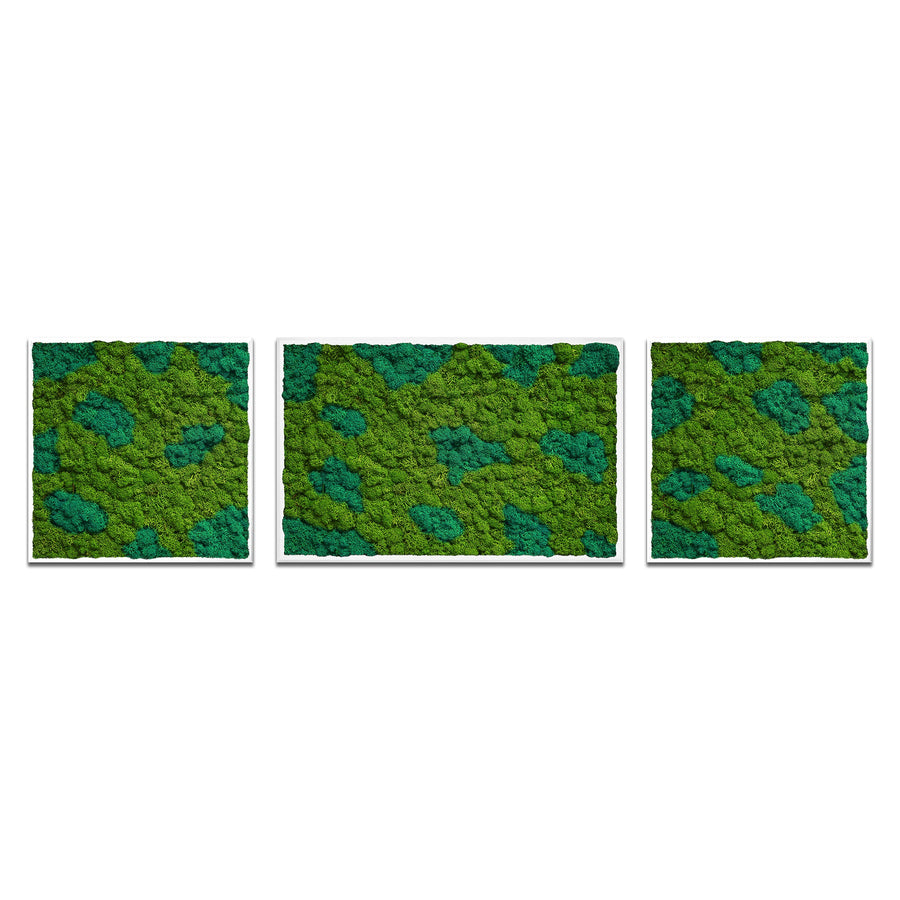 no-image-2048-a2addb12