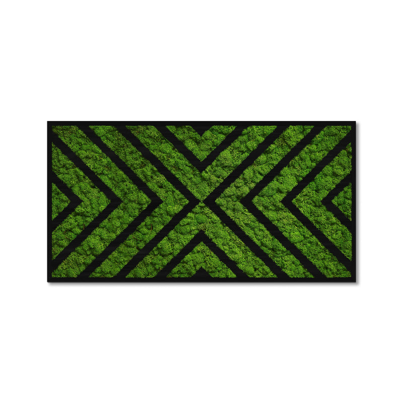 Moss Art X Design Wood Frame – Articture